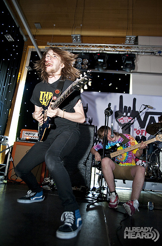 Marmozets