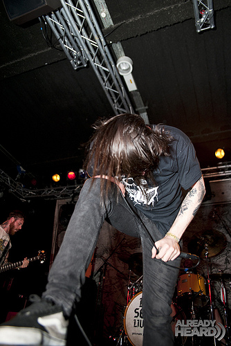 Cancer Bats