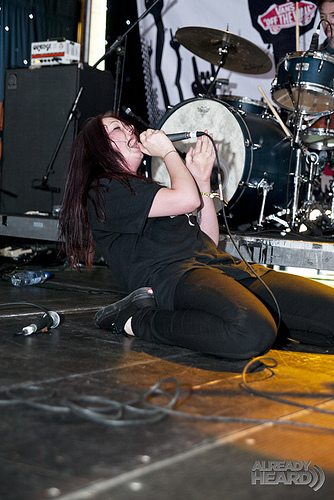 Marmozets