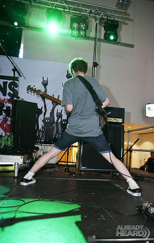 Marmozets