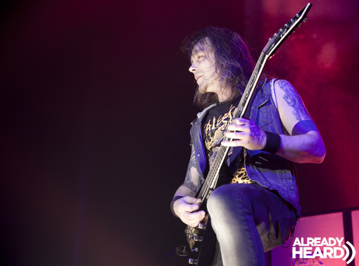 BFMV 2013