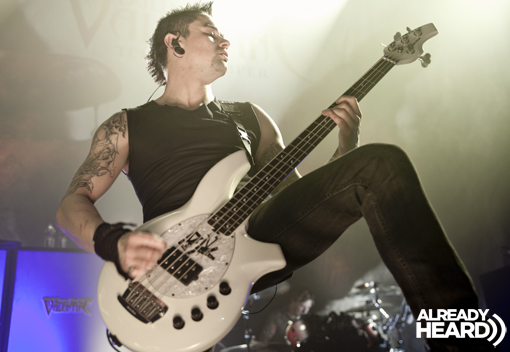 BFMV 2013