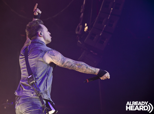 BFMV 2013