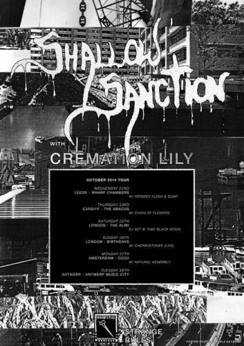 Shallow Sanction Release New Music Video Chain of Flowers Post