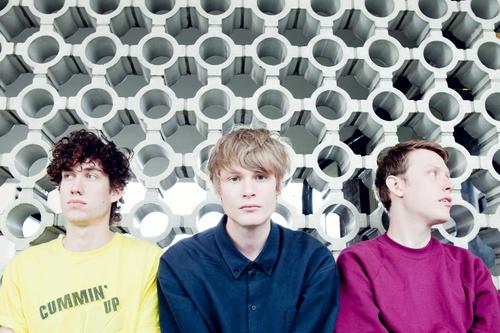 Crushed Beaks Announce Debut Album and Stream New Single Crushed Beaks Post