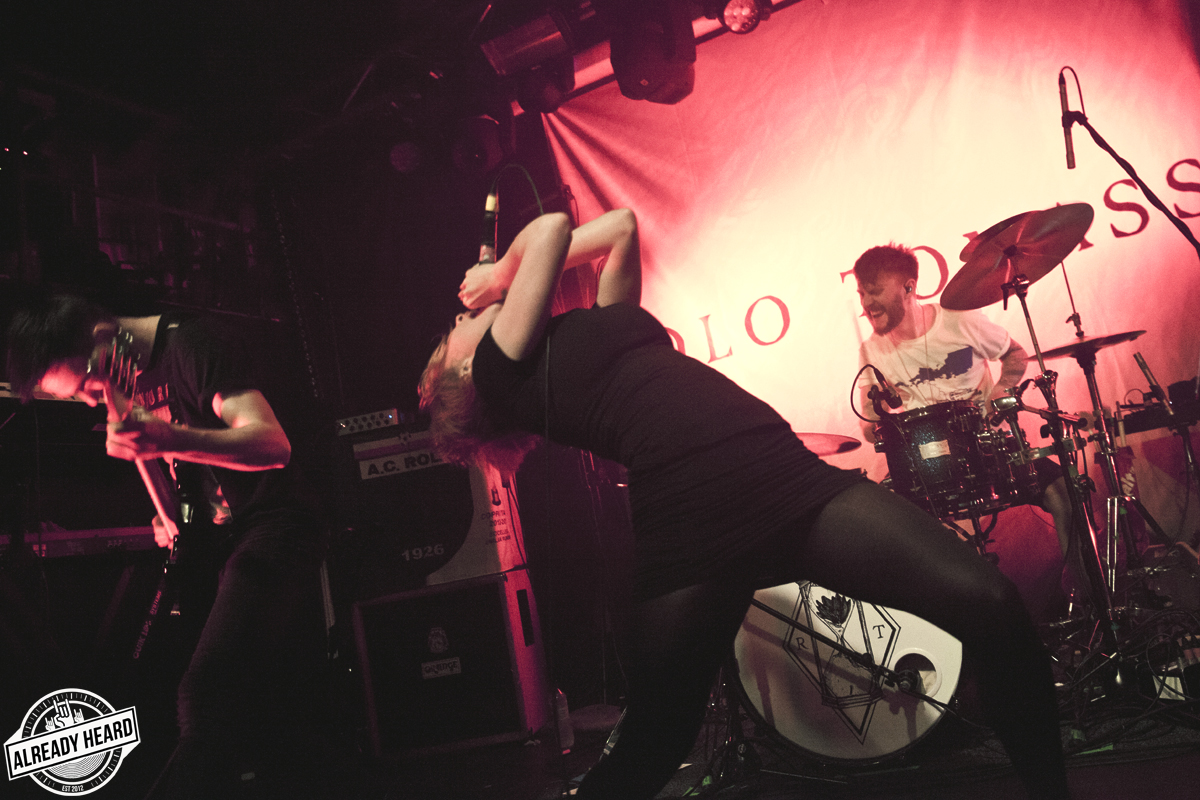 Live Review: Rolo Tomassi, Palm Reader & Cryptodoria - The Deaf Institute, Manchester - 04/04/2018 Cryptodira Live Reviews
