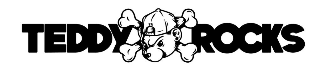 Playlist: Teddy Rocks Festival 2018 Ash Playlists