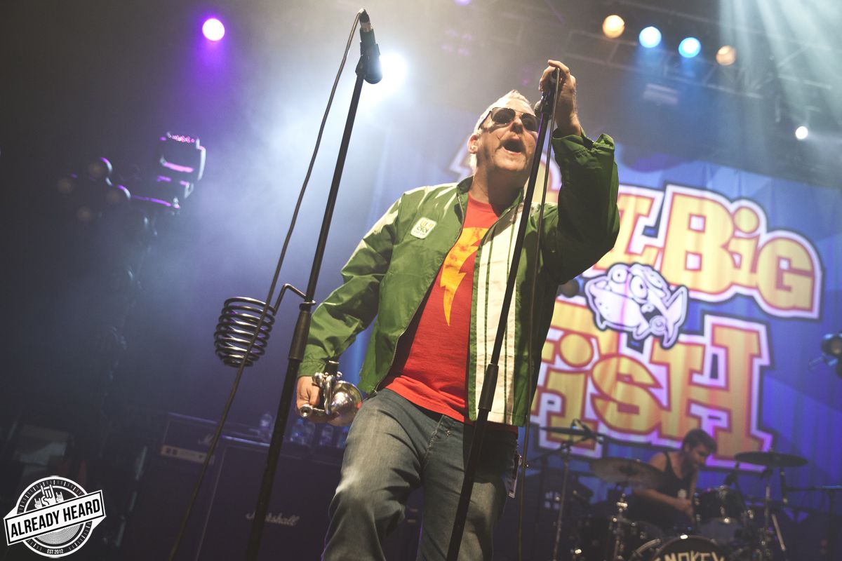 Reel Big Fish