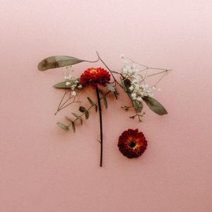 Review: Sunsleeper – You Can Miss Something & Not Want It Back Album Reviews Album Reviews