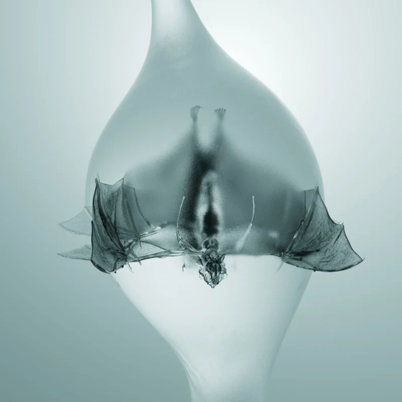Unprocessed - Angel