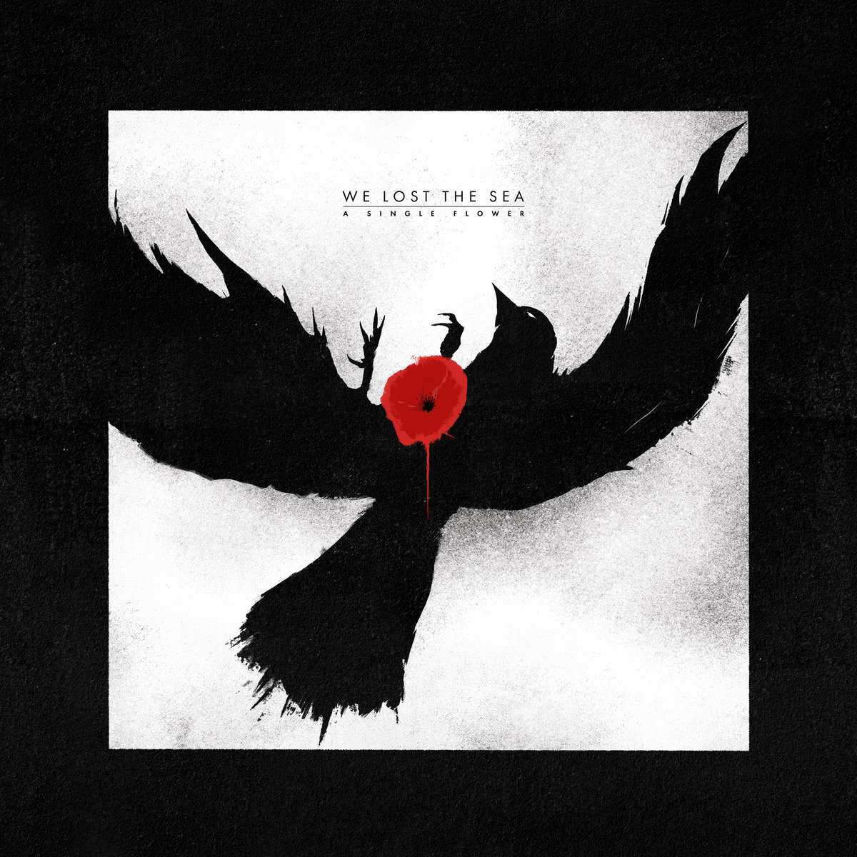 We Lost The Sea - A Single Flower
