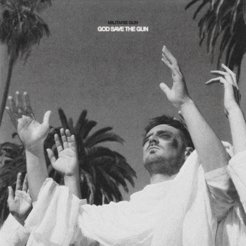 God Save The Gun artwork