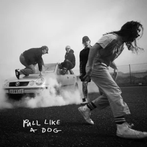 Review: The Scratch – Pull Like A Dog
