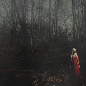 156/Silence FROM A DISTANCE artwork